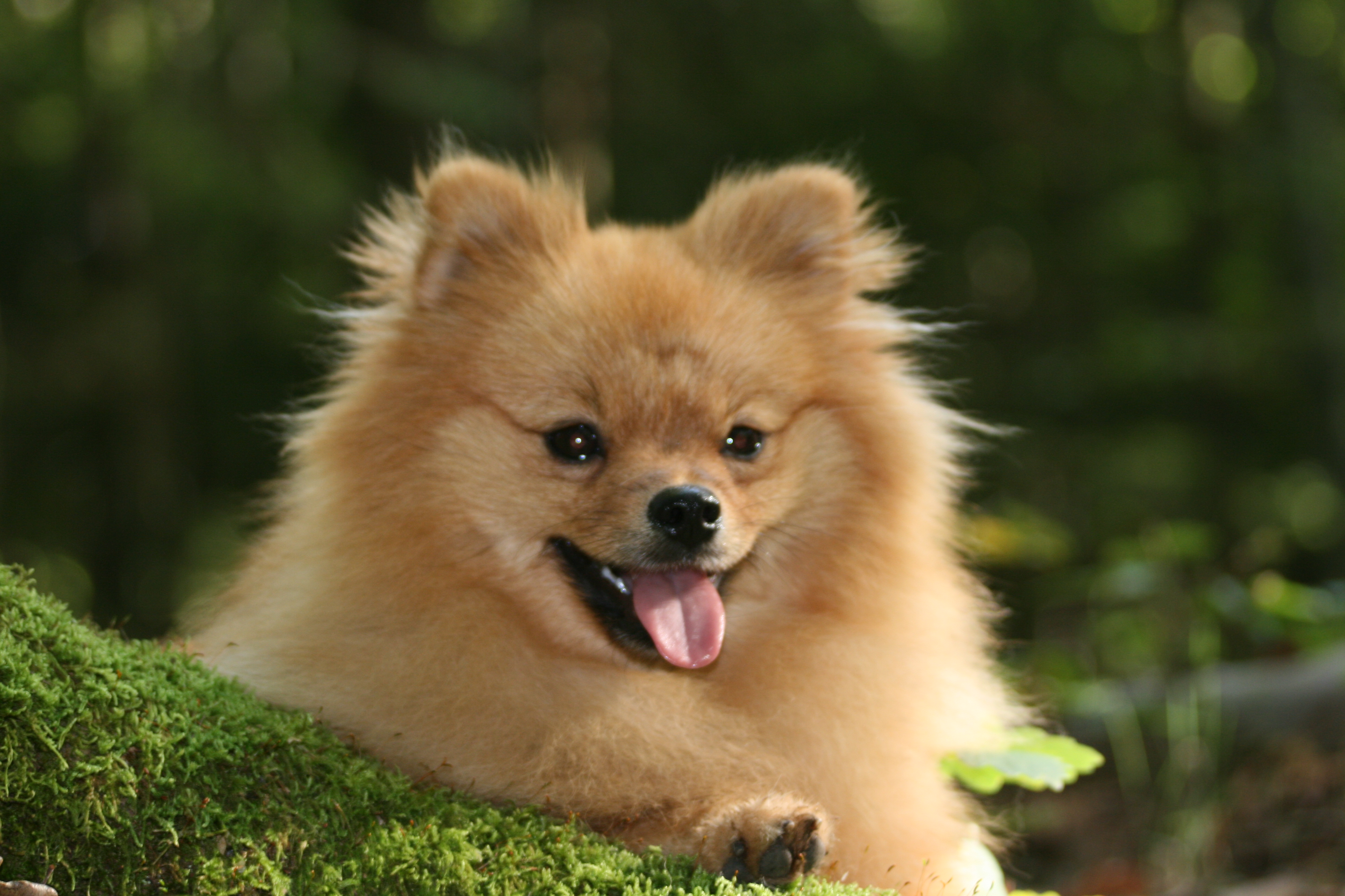 16 Okt 2011_1256 16 Okt 2011_1256