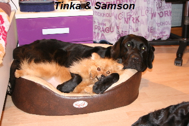 16 Dez 2011_1272 16 Dez 2011_1272